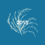 Playlist art flower 2015