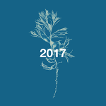 Playlist art flower 2017